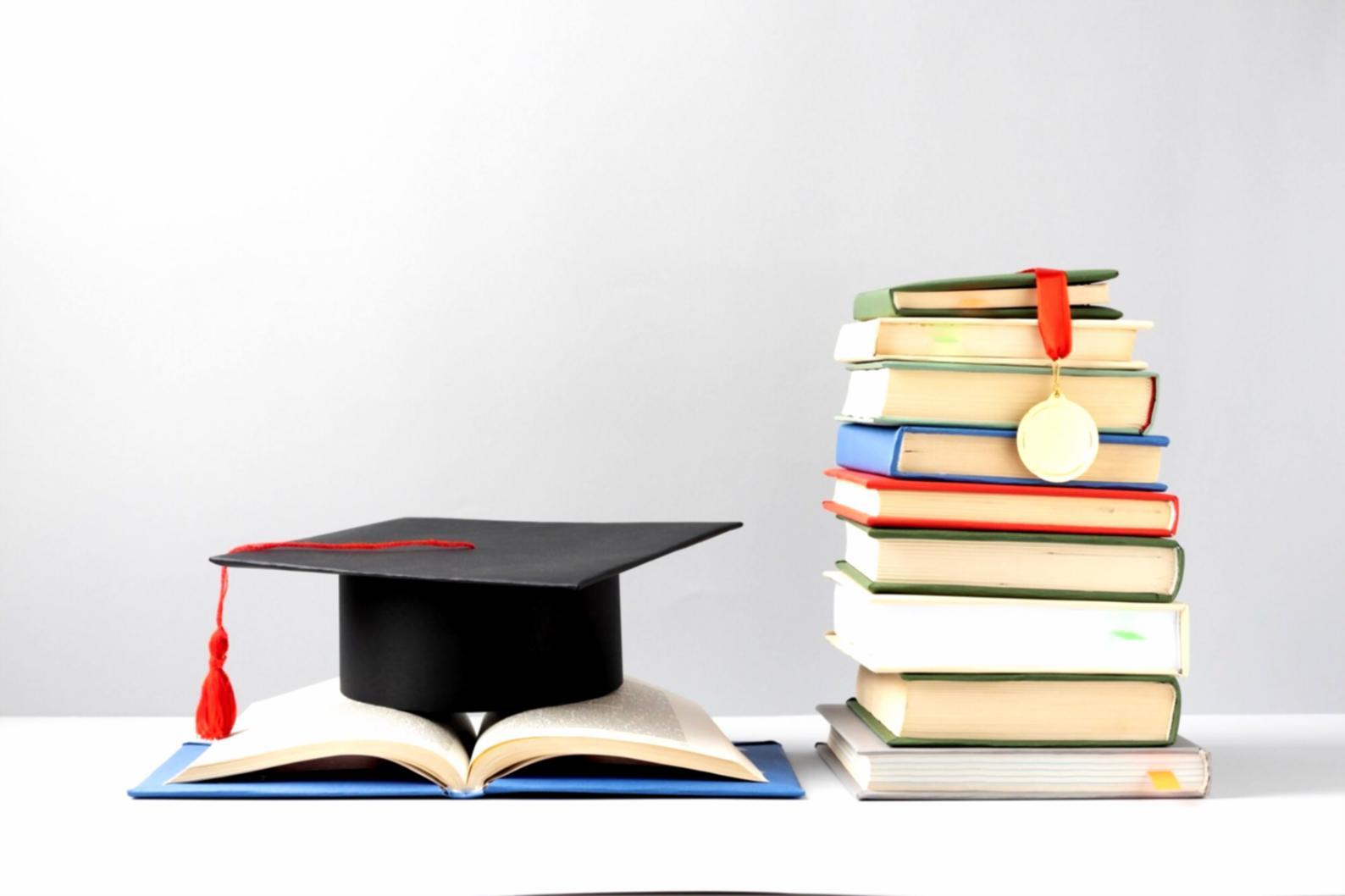 Professional examining business formation documents and legal structures